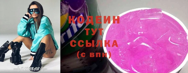 соль ск Волосово