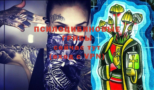 соль ск Волосово