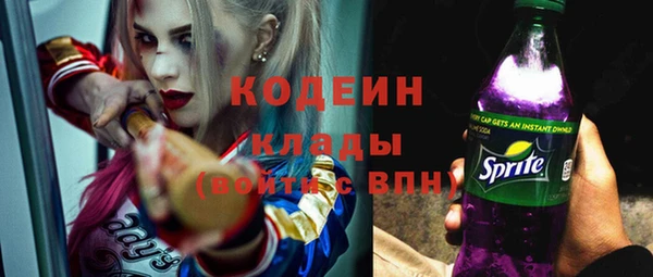 соль ск Волосово