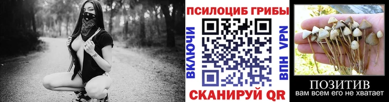 Галлюциногенные грибы Psilocybine cubensis  Волгодонск 