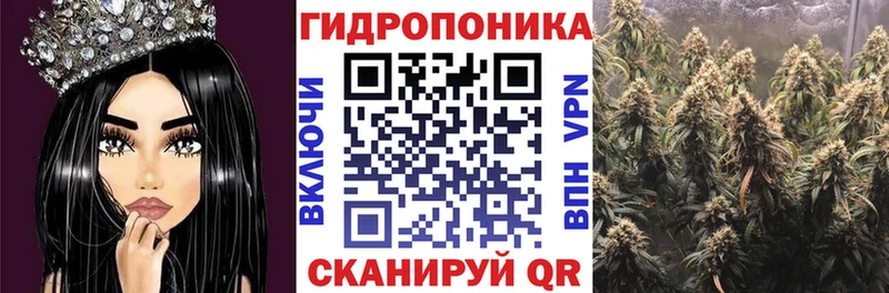Бошки Шишки план  Волгодонск 